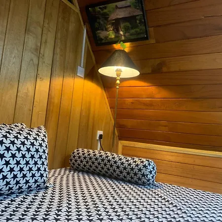 Homestay 20/20 Wood *