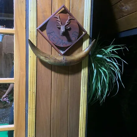 Homestay 20/20 Wood