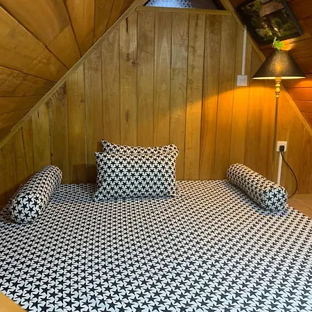 Homestay 20/20 Wood *