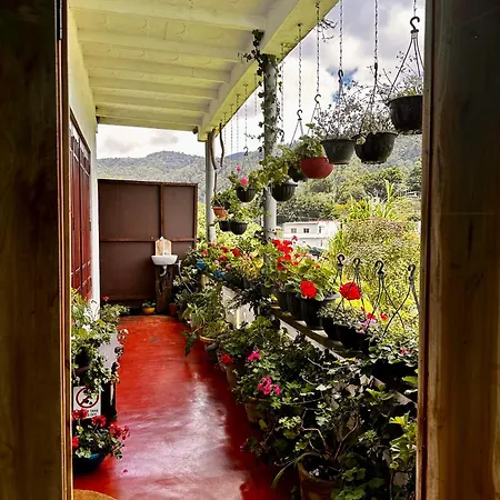 Cozy Heaven