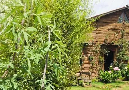 Hostel Silonya Forest Edge