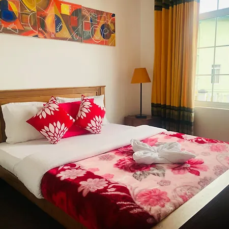 White Vintage Guest house *