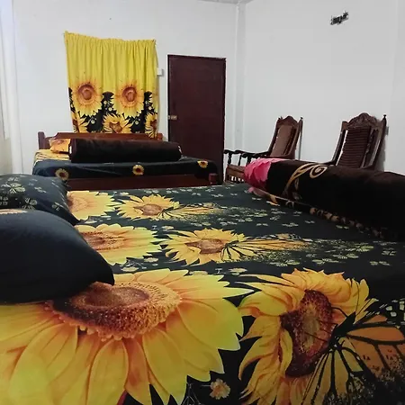 Hostel Silonya Forest Edge *