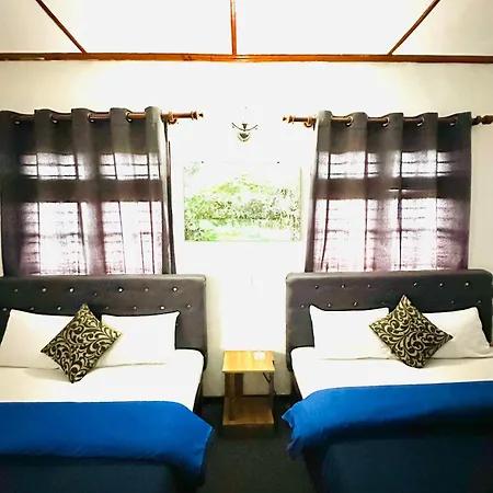 New Royal Mount Homestay