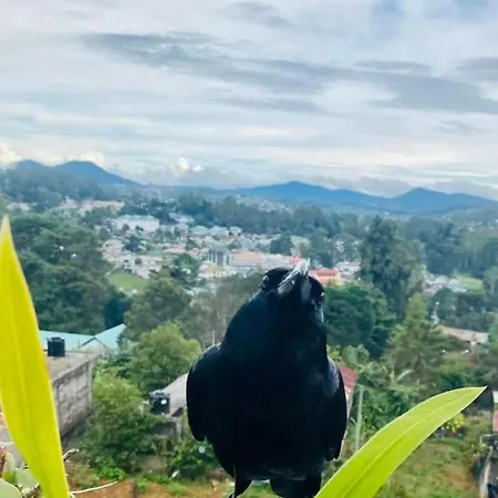Homestay La Rose Geust House Nuwara Eliya