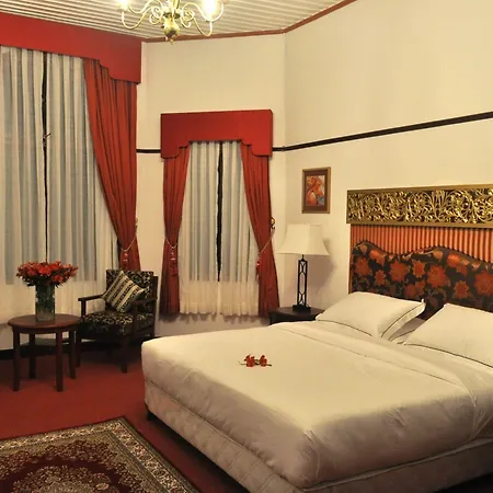 Royal Cocoon -