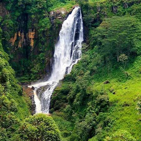 Hotel Royal Cocoon - Nuwara Eliya