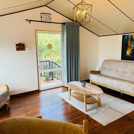 Medalin Harmony Heaven Apartment