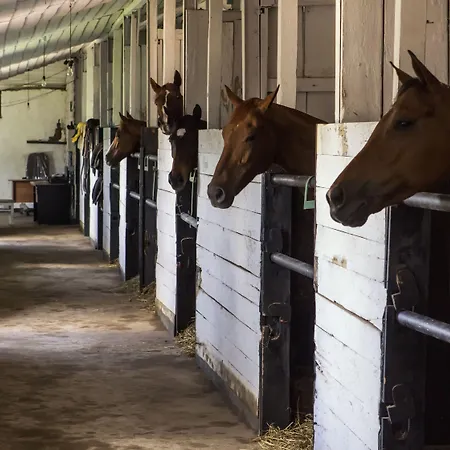 Hill Rise Luxury & Stables By Edwards Collection - Villa