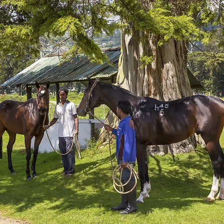 Hill Rise Luxury & Stables By Edwards Collection - Villa *