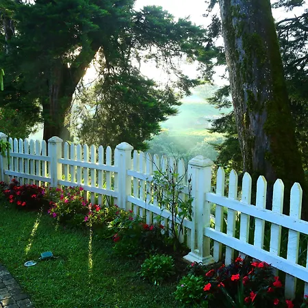 The Firs Holiday home