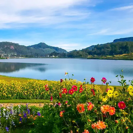 Tea Fields Nuwara Eliya