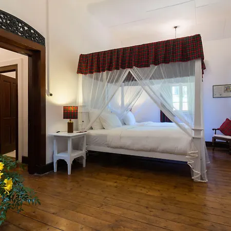 Scottish Planter Bungalow- Thema Collection Villa