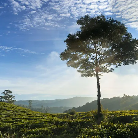 Kent Nuwara Eliya