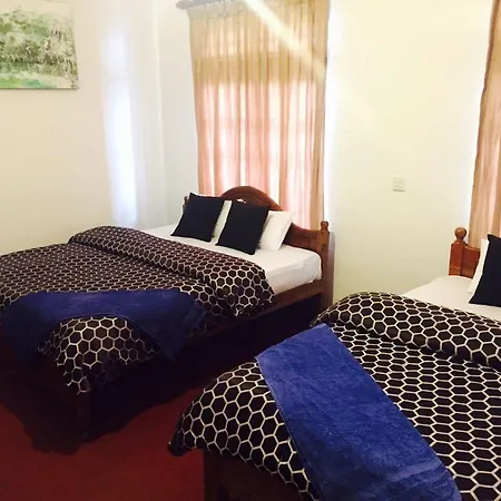 New Royal Mount Homestay *