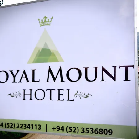 New Royal Mount Homestay *