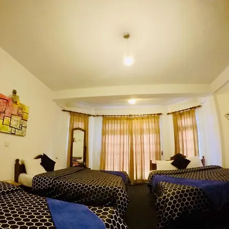 New Royal Mount Homestay *