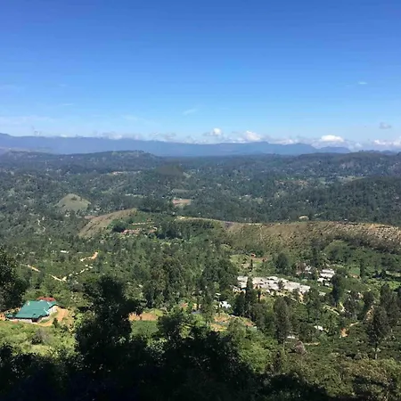 Daffodils 4* Nuwara Eliya