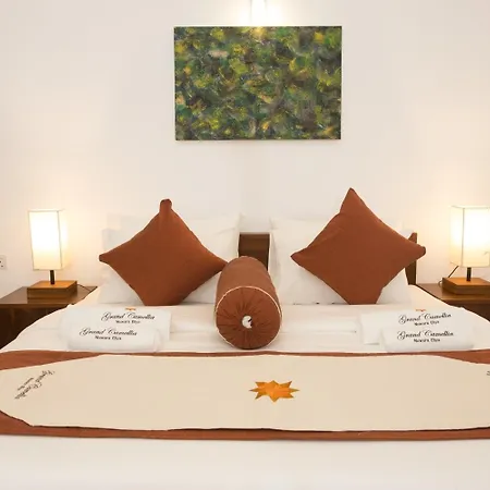 Grand Camellia 2* Nuwara Eliya