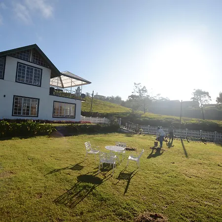 The Tea Garden