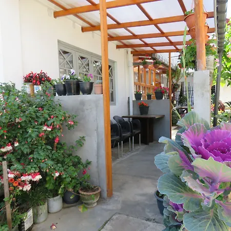 Carnation Rest Guest house