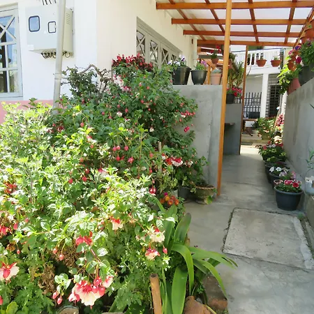 Carnation Rest 4* Nuwara Eliya