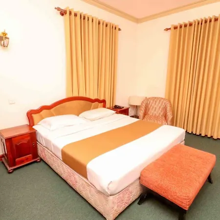 Hotel Alpine 3*