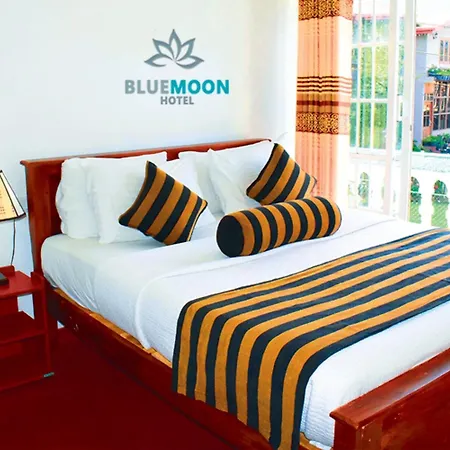 Blue Moon Guest house