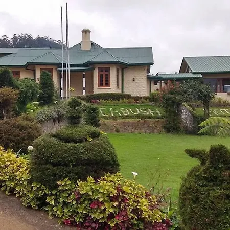 Tea Bush Hotel 3*