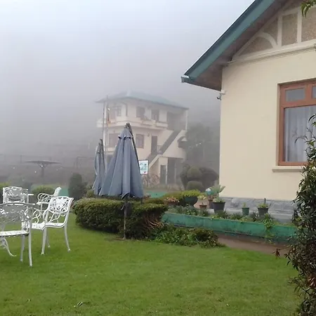 Tea Bush