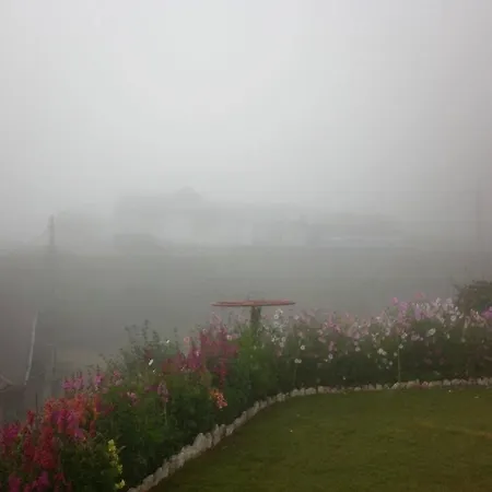 Tea Bush 3* Nuwara Eliya