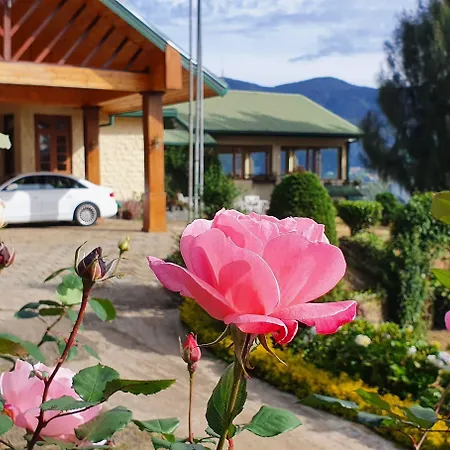Hotel Tea Bush