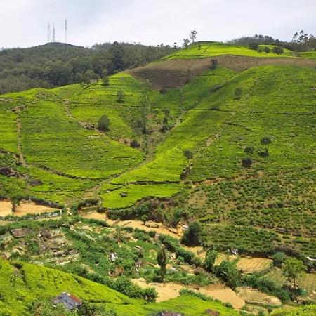 Hillsborough Nuwara Eliya