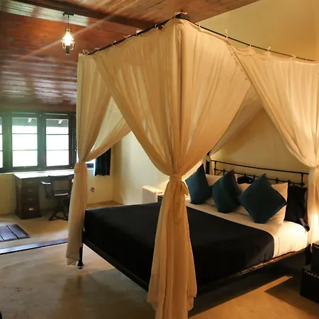 Guest house Ferncliff 4*