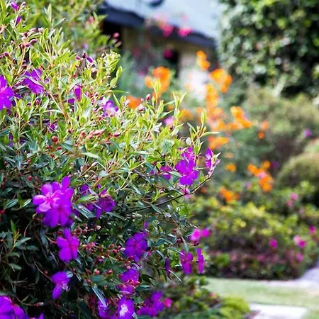 Guest house Ferncliff 4*