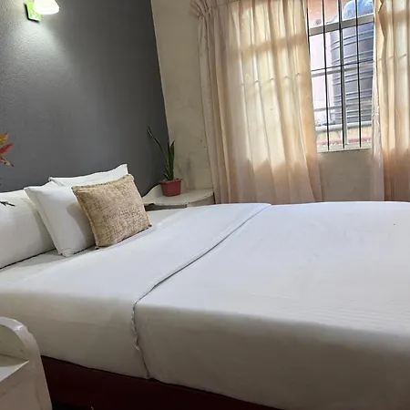 Grand Nauro Homestay *