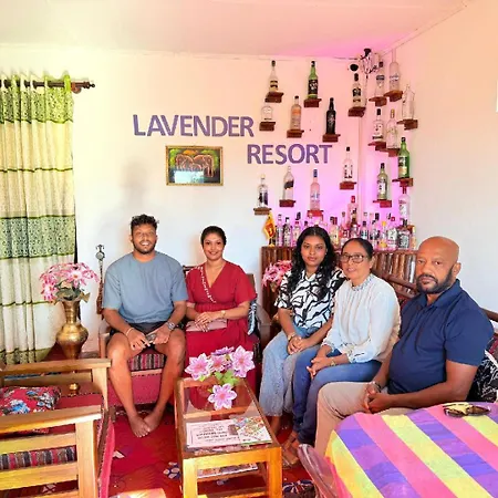 Lavender & Wood 4*