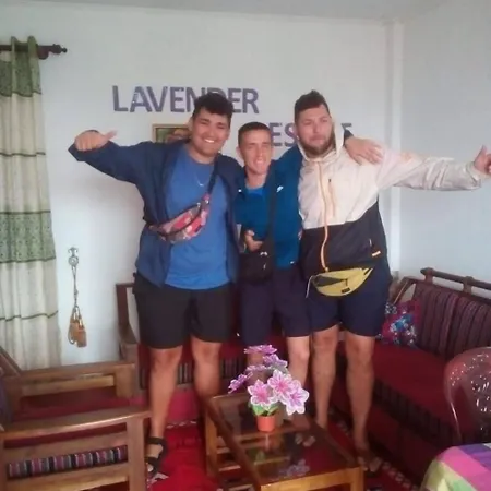 Lavender & Wood Hotel