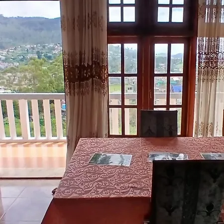 The View *