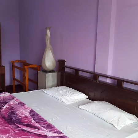 Guest house Mangala Flora 3*
