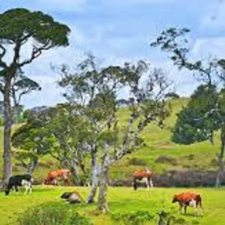Terrace Holiday home Nuwara Eliya