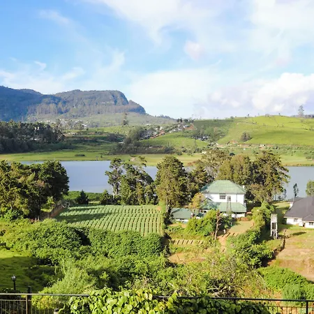 Acacia Nuwara Eliya