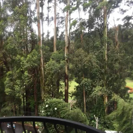 Panorama View
