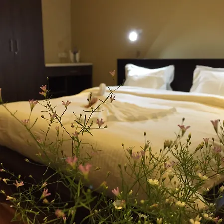Panorama View Hotel 3*