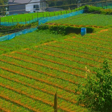 Hill Paradise