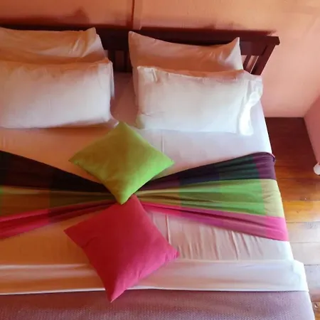 Guest house Sincere Wilderness 3*