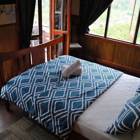 Hotel Misty Mountain 3*