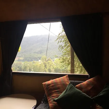 Misty Mountain