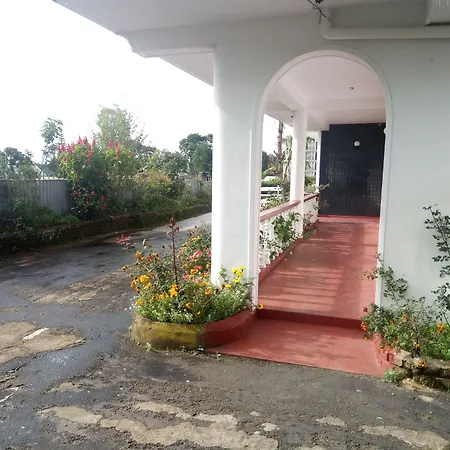 Guest house Olive Grand