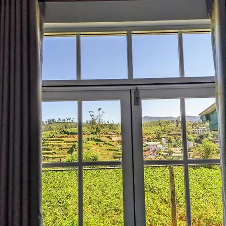 Ivy * Nuwara Eliya